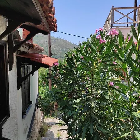 Forest House - Magnificent Sunset & Mountain View Vakantiehuis *